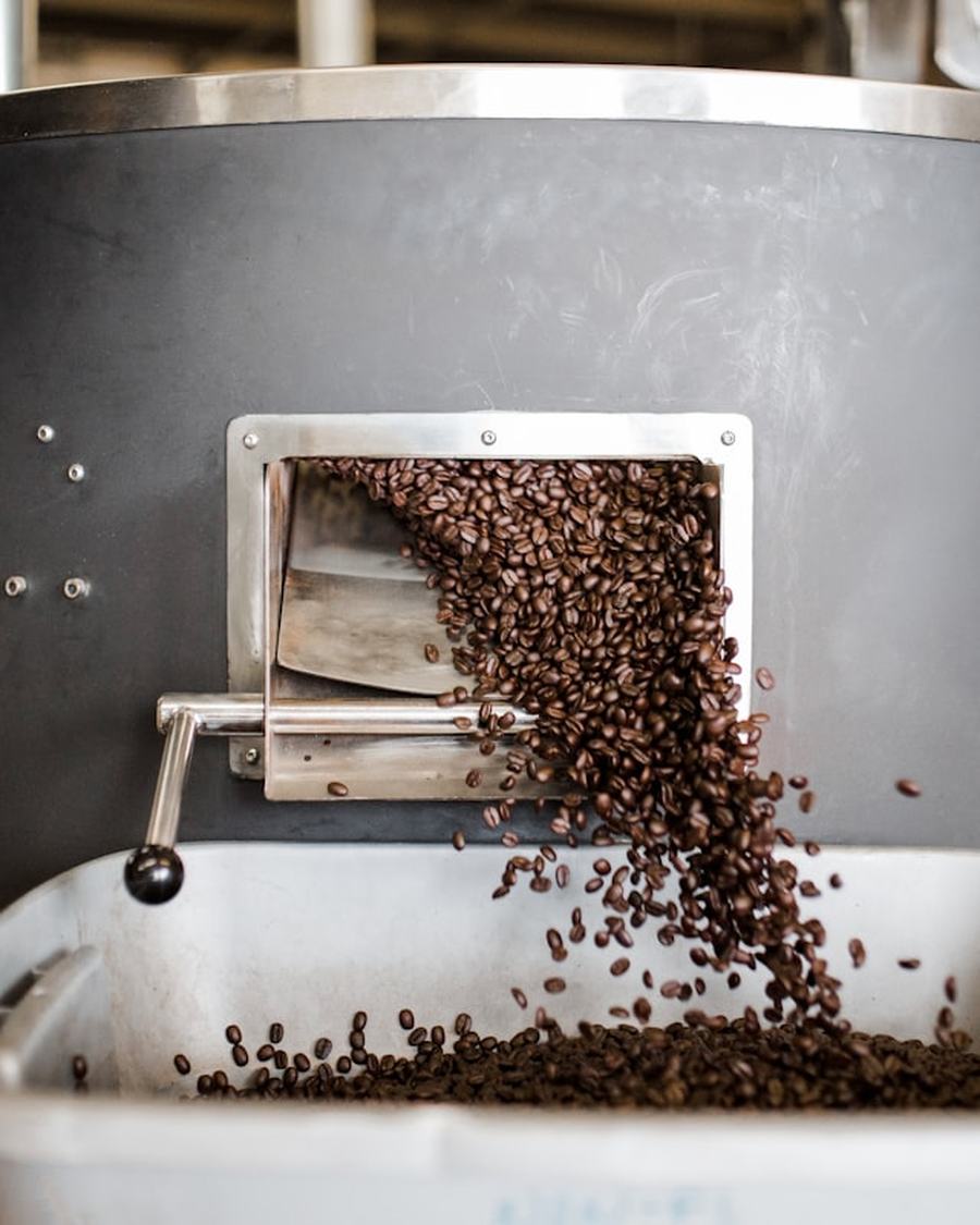 Roasted beans pouring from a drum roaster into the cooling tray